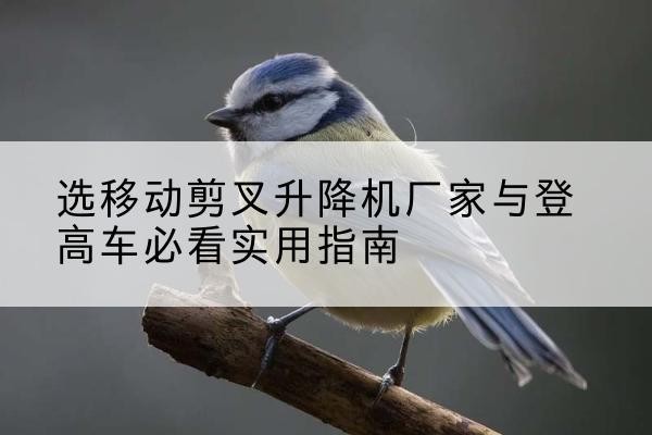 辉县电动升降机厂家-选移动剪叉升降机厂家与登高车必看实用指南
