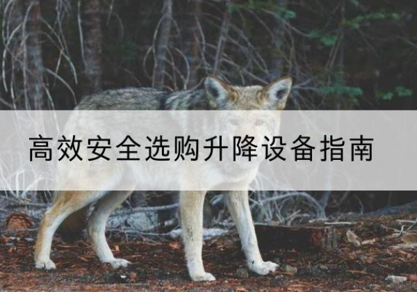 辉县升降货梯厂家推荐-*安全选购升降设备指南